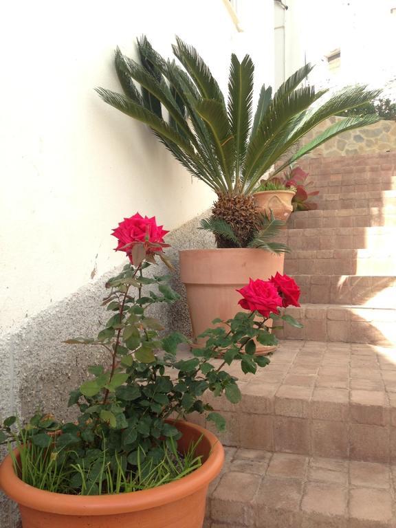 Boutique Hostal "Casa Justa" موخاكار المظهر الخارجي الصورة